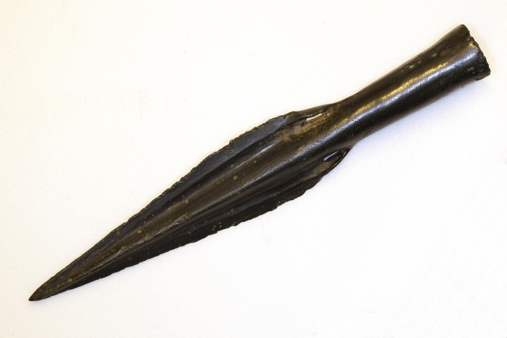 Basal looped Spearhead